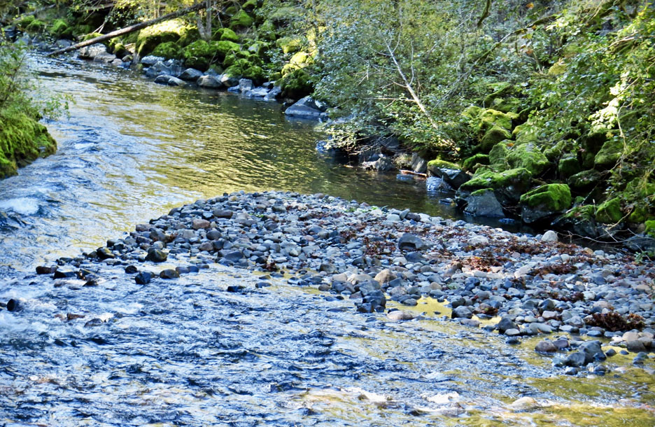 south santiam river graphic